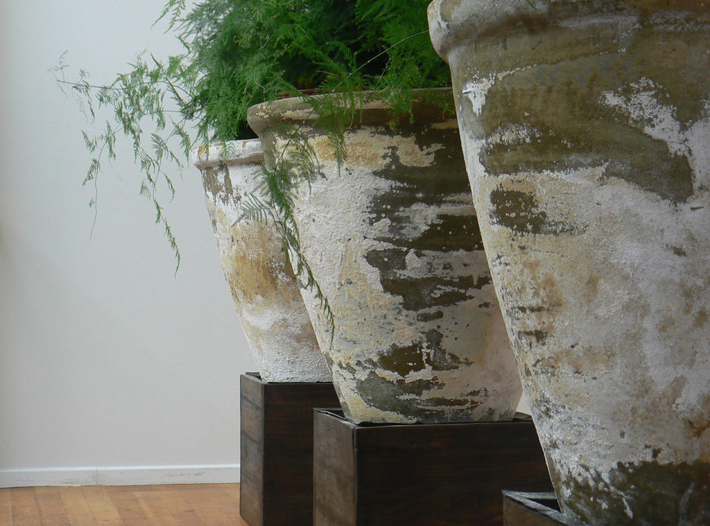 ベース ページ 8 ガーデンカンパニーオンラインストア