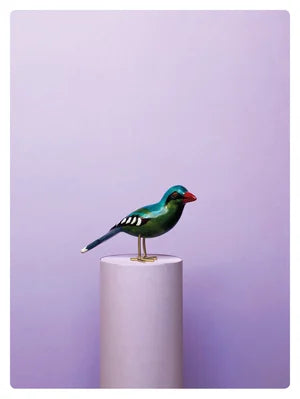 GREEN MAGPIE