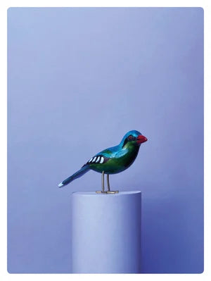 GREEN MAGPIE