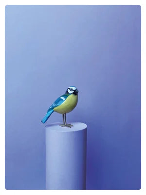 BLEU TIT