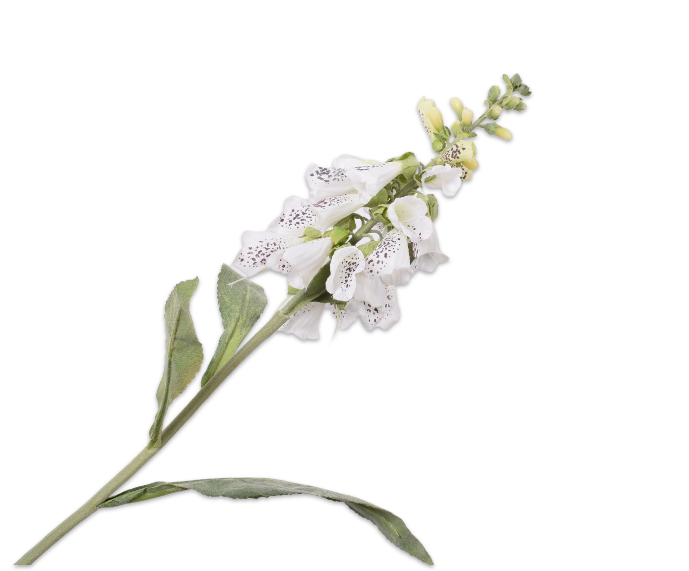 DIGITALIS STEM WHITE 70 cm