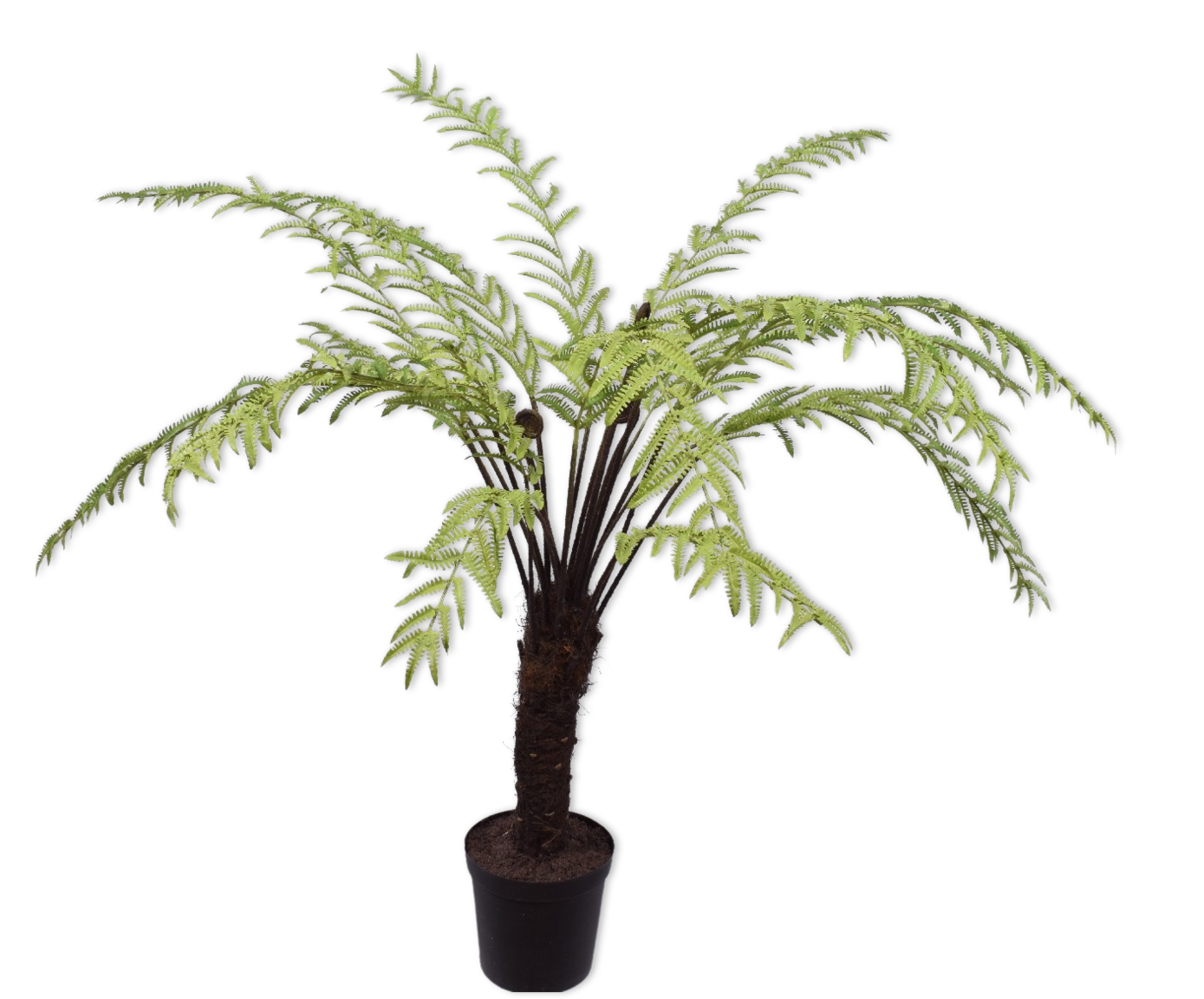 PLANT FERN GREEN 152 cm