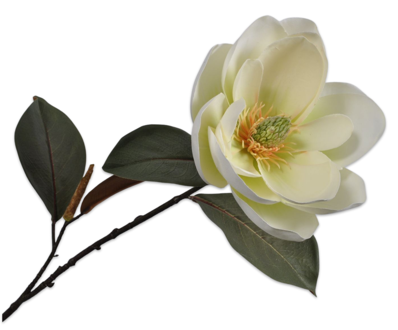 MAGNOLIA SPRAY CREAM 76 cm