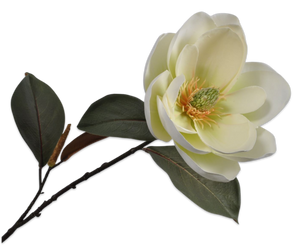 MAGNOLIA SPRAY CREAM 76 cm