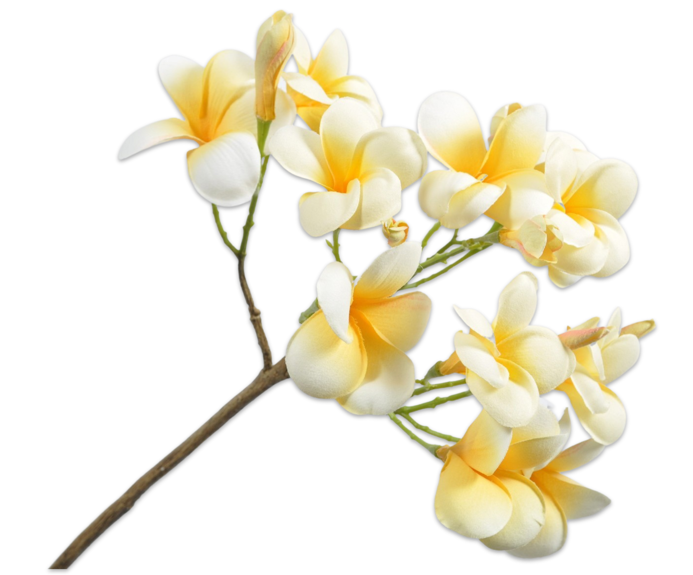 PLUMERIA SPRAY YELLOW 66 cm