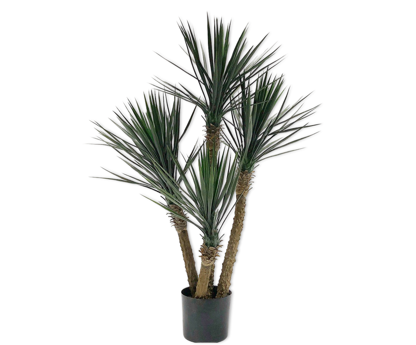 YUCCA  GREEN 155 cm