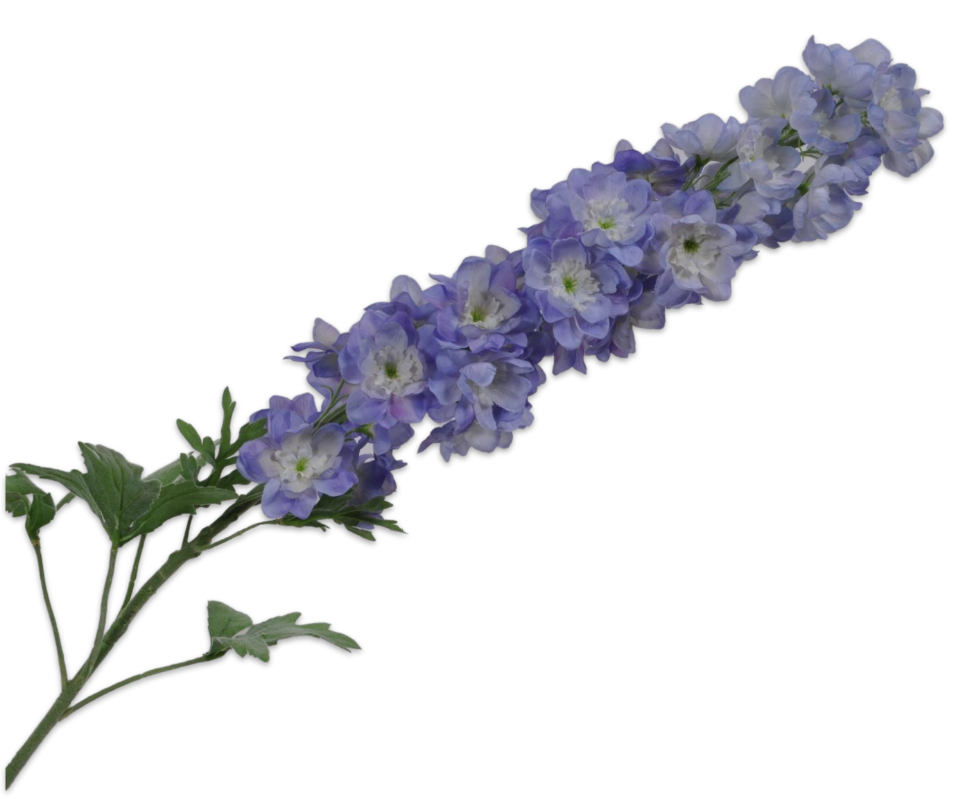 DELPHINIUM SPRAY BLUE LT 114 cm