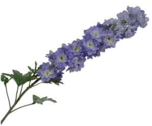 DELPHINIUM SPRAY BLUE LT 114 cm