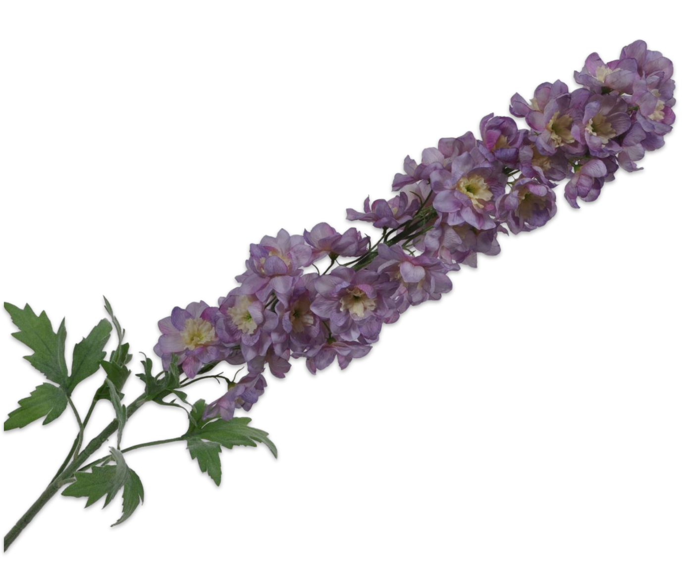 DELPHINIUM SPRAY LAVEND 114 cm