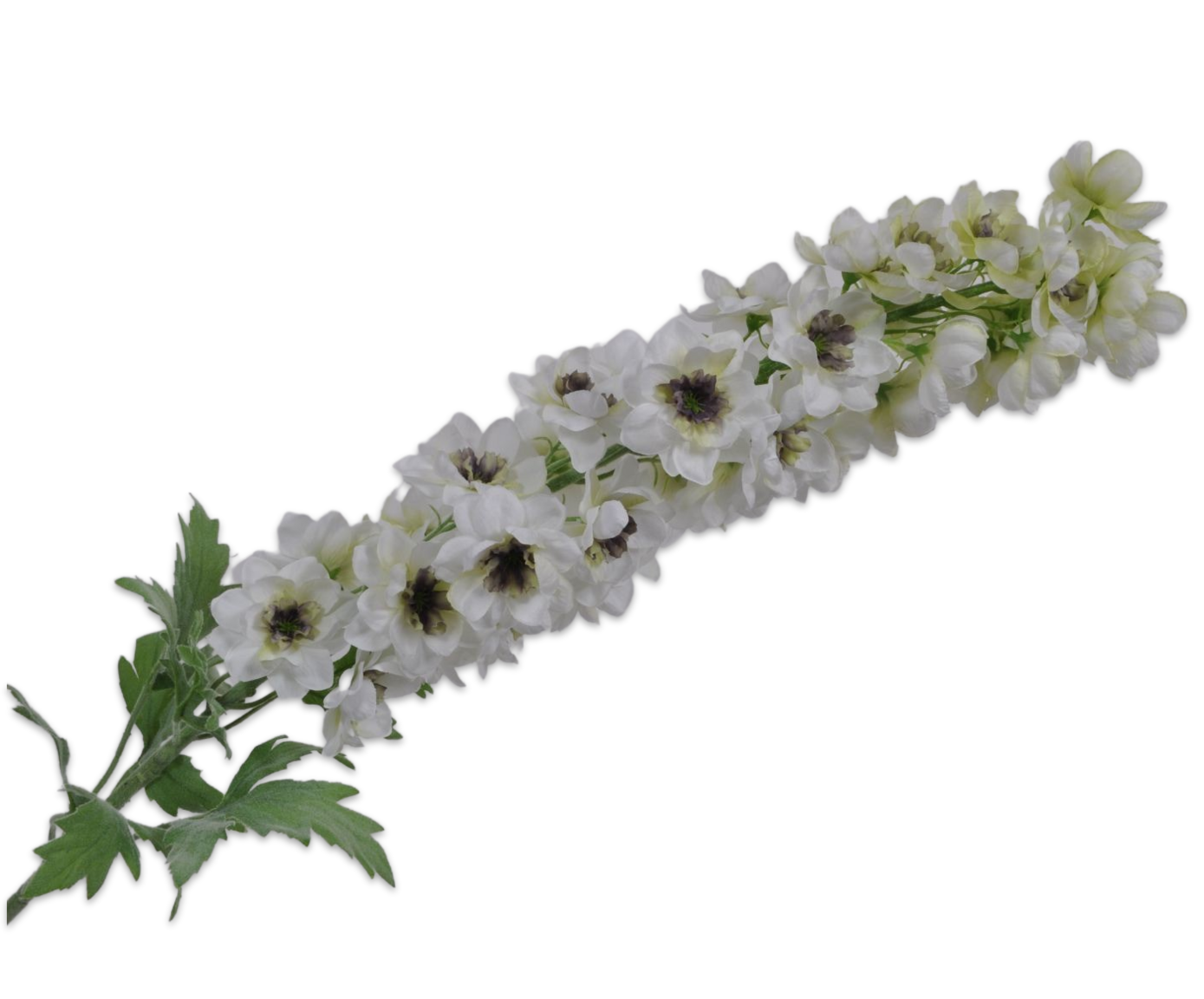 DELPHINIUM SPRAY WHITE 114 cm