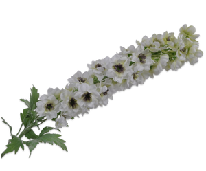 DELPHINIUM SPRAY WHITE 114 cm