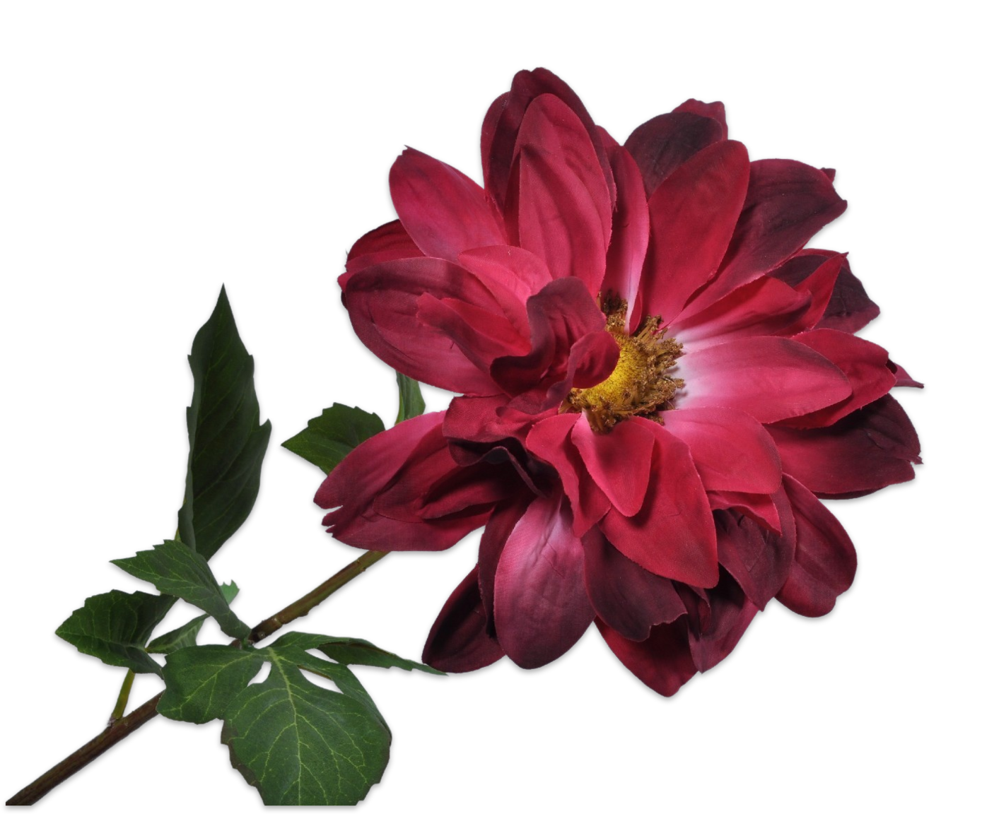 DAHLIA STEM BEAUTY 76 cm