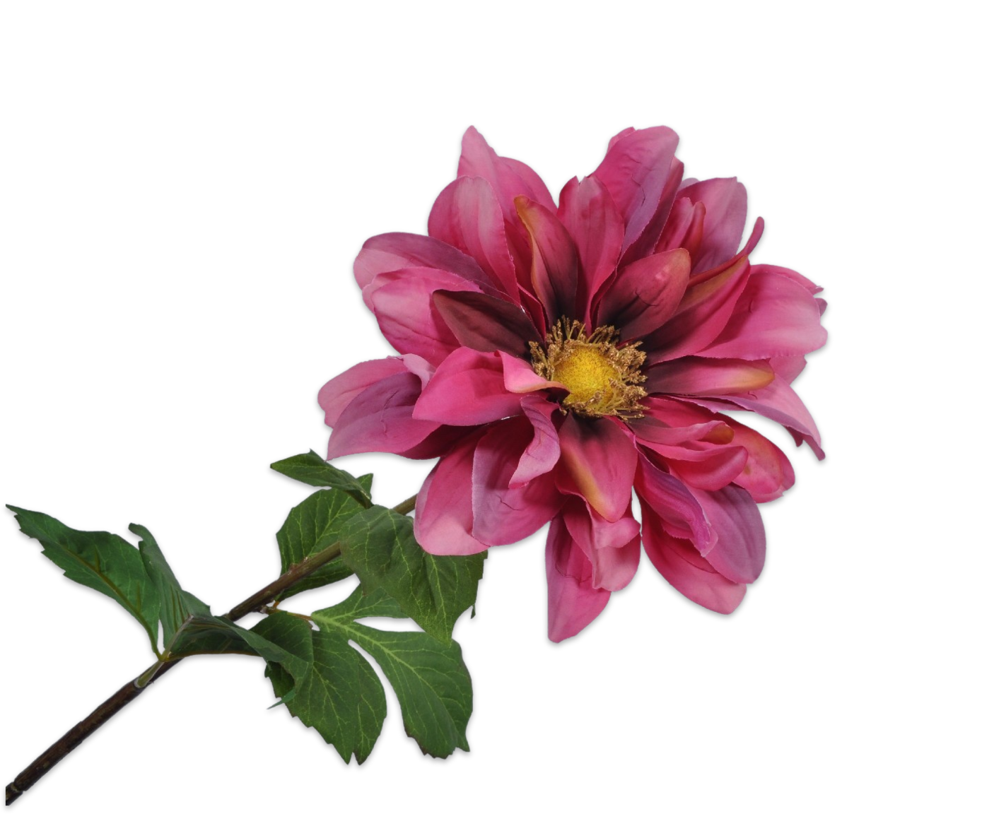 DAHLIA STEM FUCHSIA 76 cm