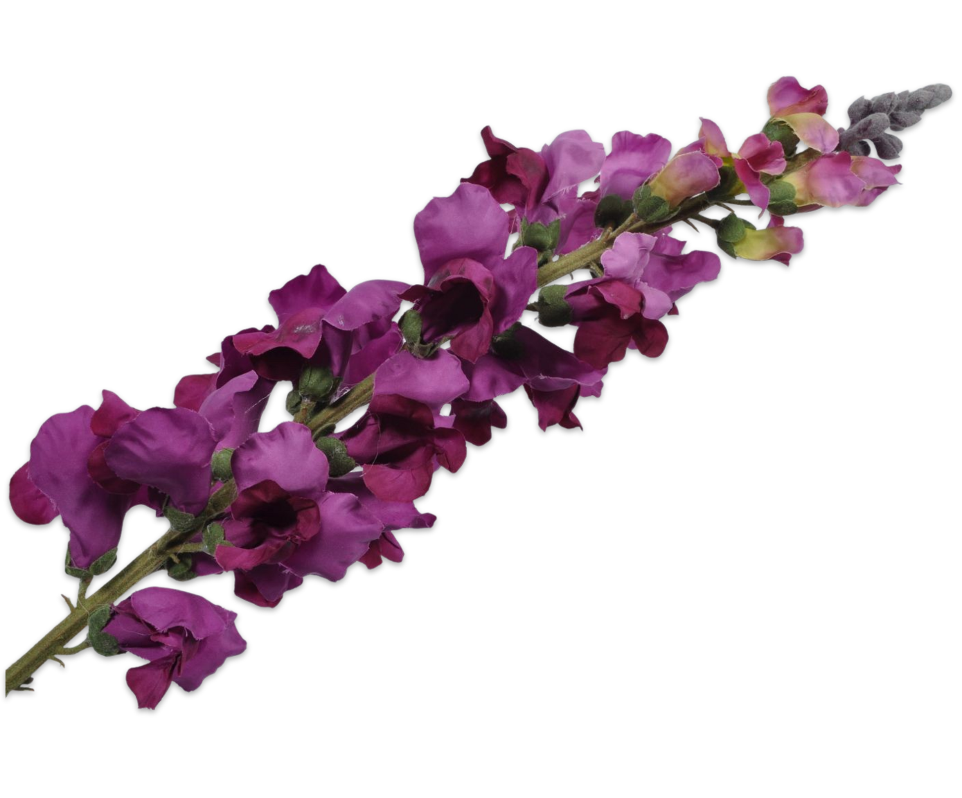 SNAPDRAGON(HOLLYHOCK) STEM LAV PRP 96 cm