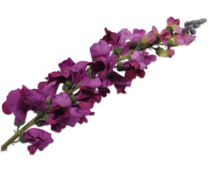 SNAPDRAGON(HOLLYHOCK) STEM LAV PRP 96 cm