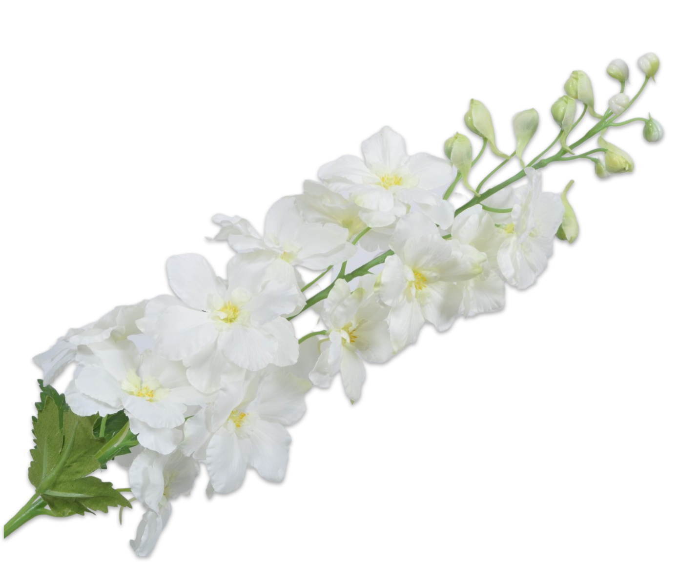 DELPHINIUM STEM WHITE 94 cm