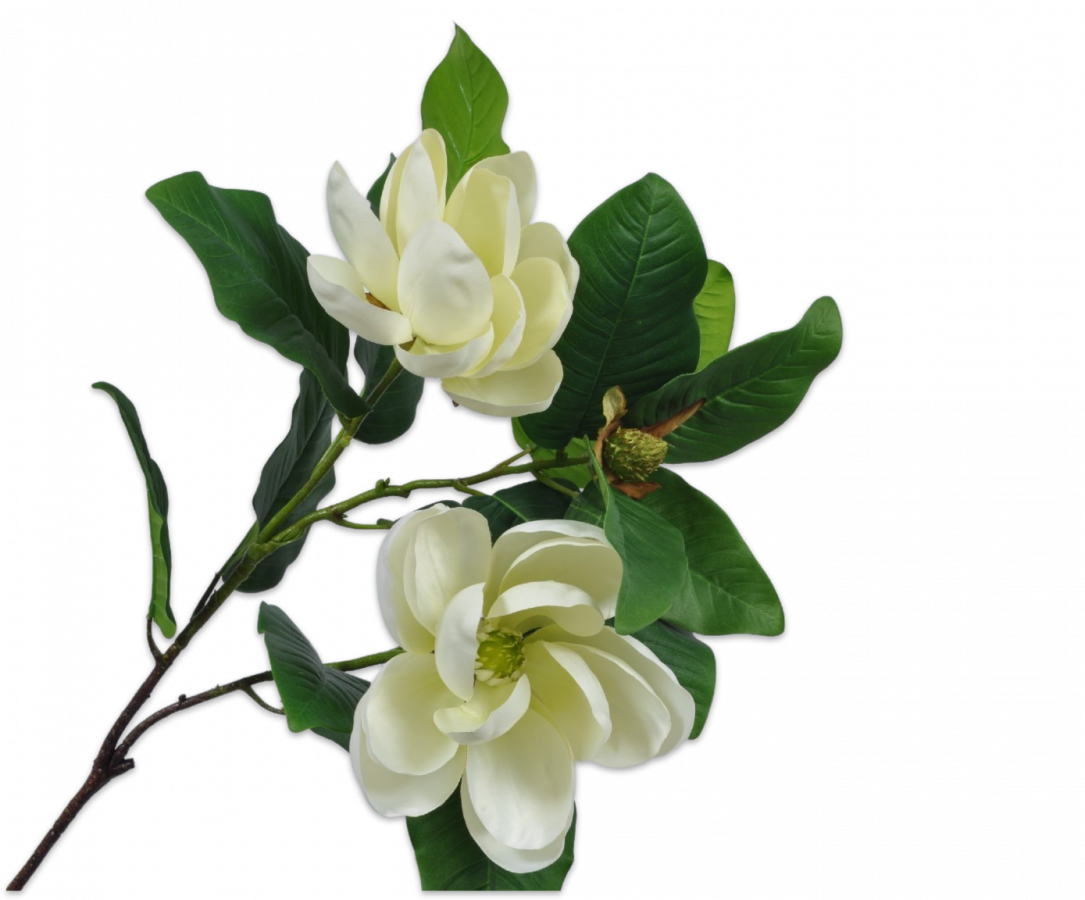 MAGNOLIA SPRAY CREAM 107 cm