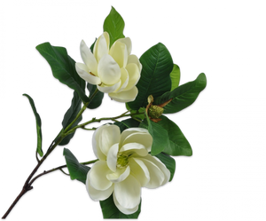 MAGNOLIA SPRAY CREAM 107 cm