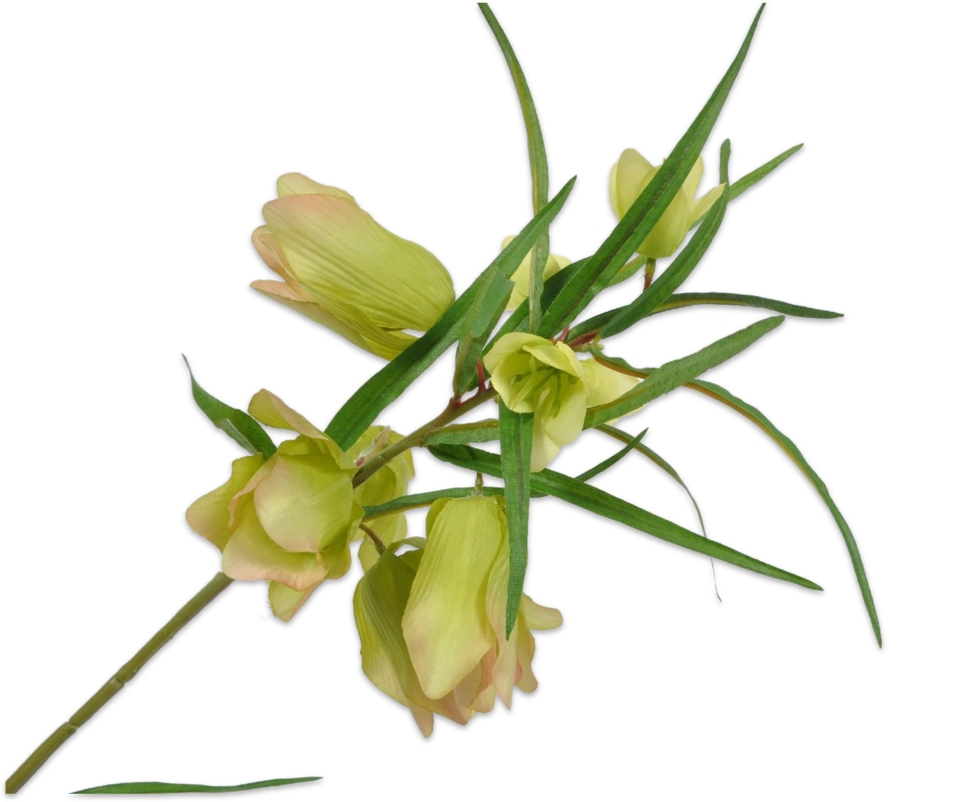 FRITILLARIA STEM GREEN 85 cm