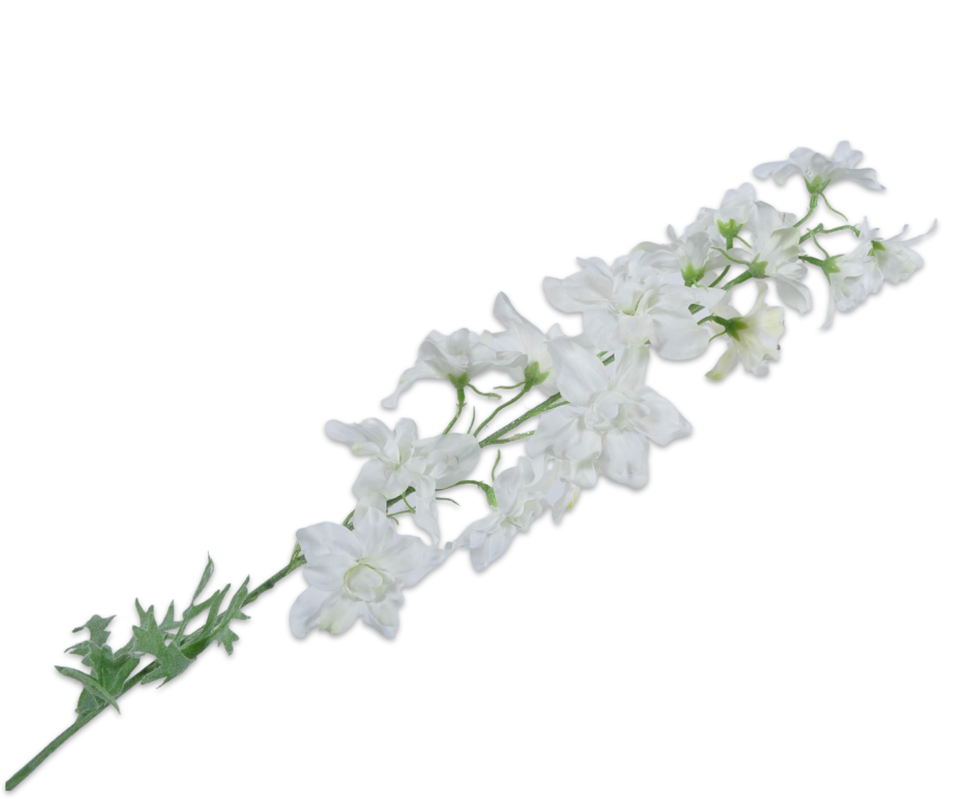 DELPHINIUM SPRAY WHITE 79 cm