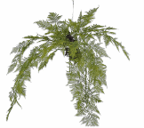 ASPARAGUS HANG GREEN 109 cm