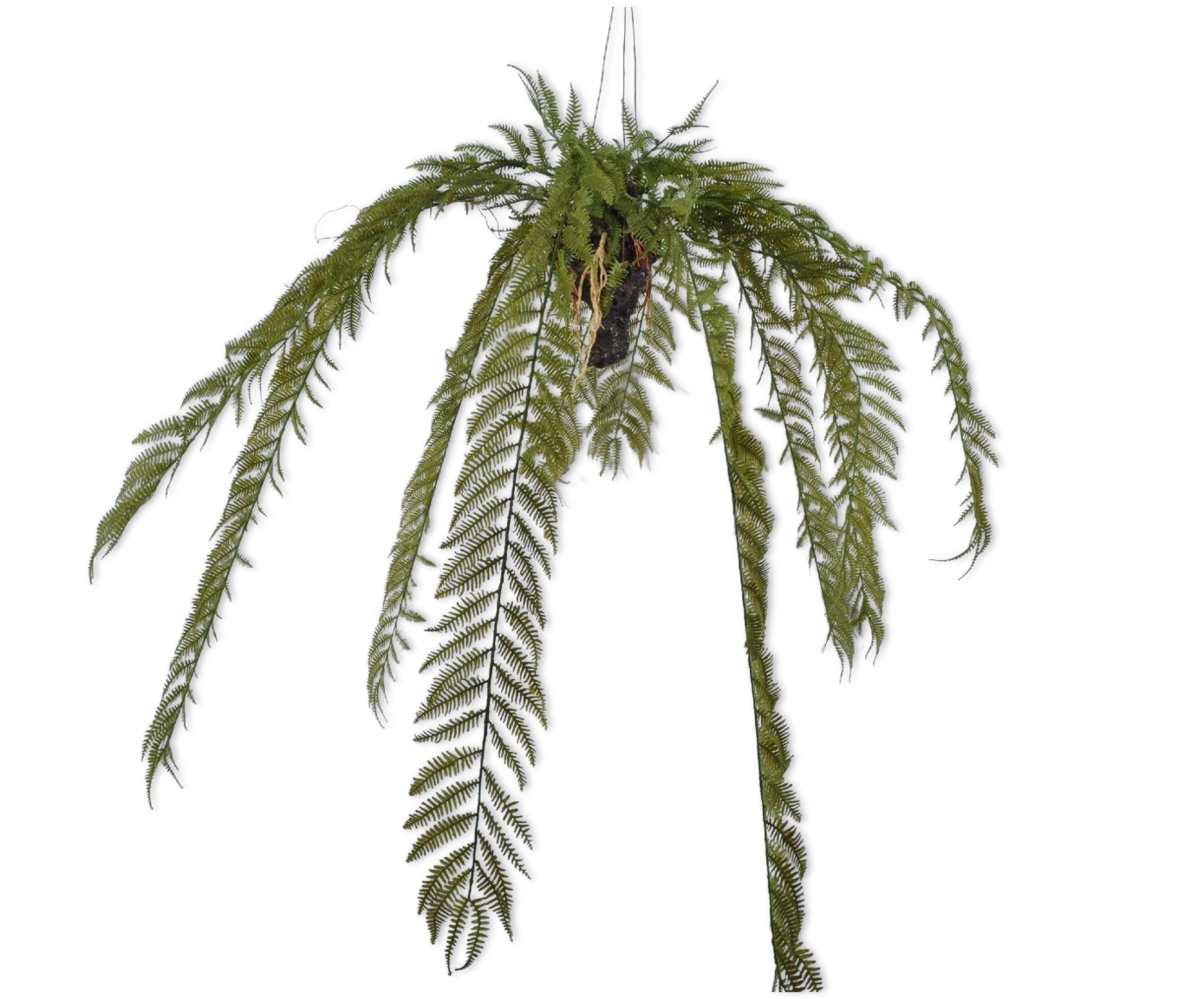 FERN HANG GREEN 119 cm