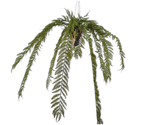 FERN HANG GREEN 119 cm