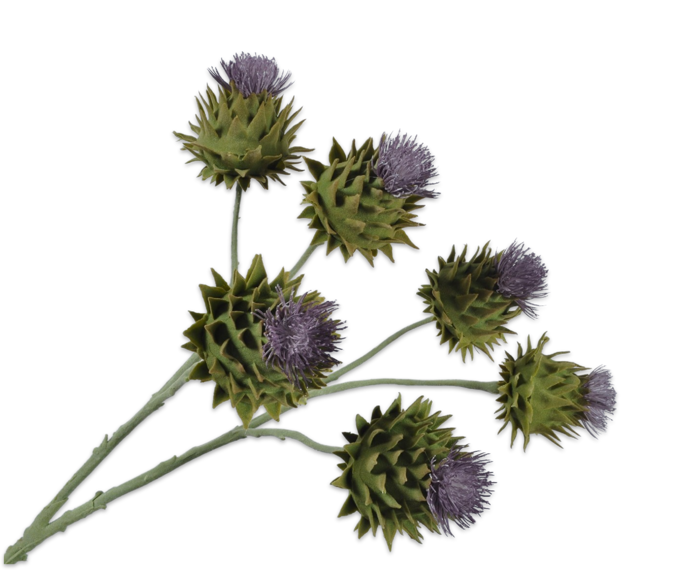 THISTLE SPRAY GREEN 83 cm