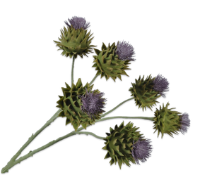 THISTLE SPRAY GREEN 83 cm