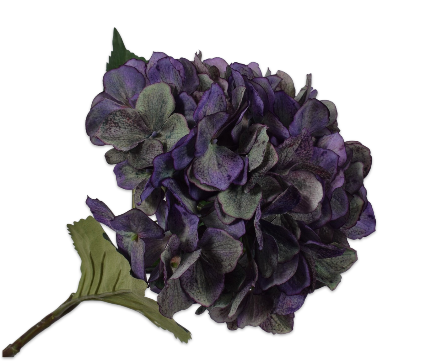 HYDRANGEA STEM PRP DK 65 cm