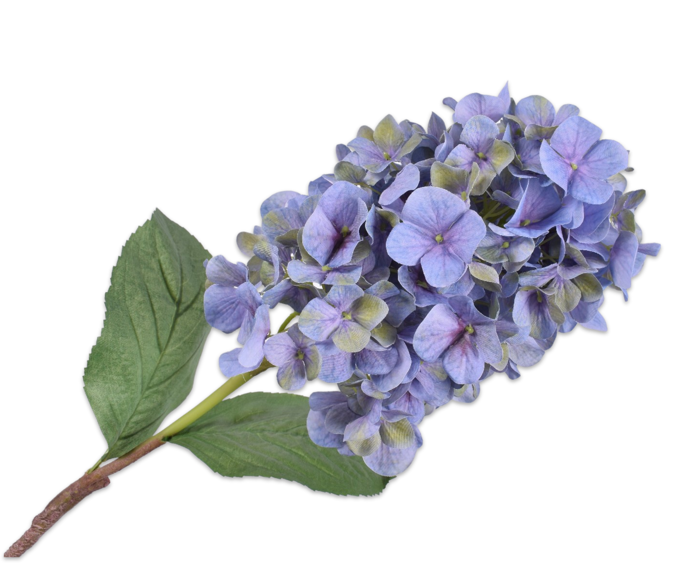 HYDRANGEA SPRAY