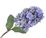 画像をギャラリービューアに読み込む, HYDRANGEA SPRAY
