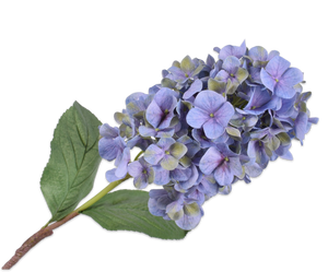 HYDRANGEA SPRAY