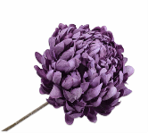 CHRYSANT STEM LAVEND 64 cm