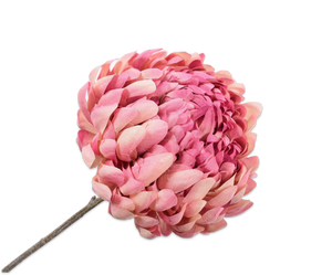 CHRYSANT STEM LAV LT 64 cm