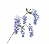 WISTERIA SPRAY BLUE 101 cm