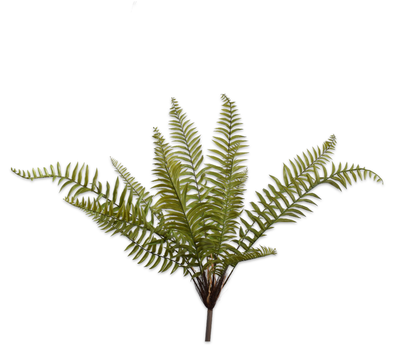 FERN BUSH GREEN 108 cm