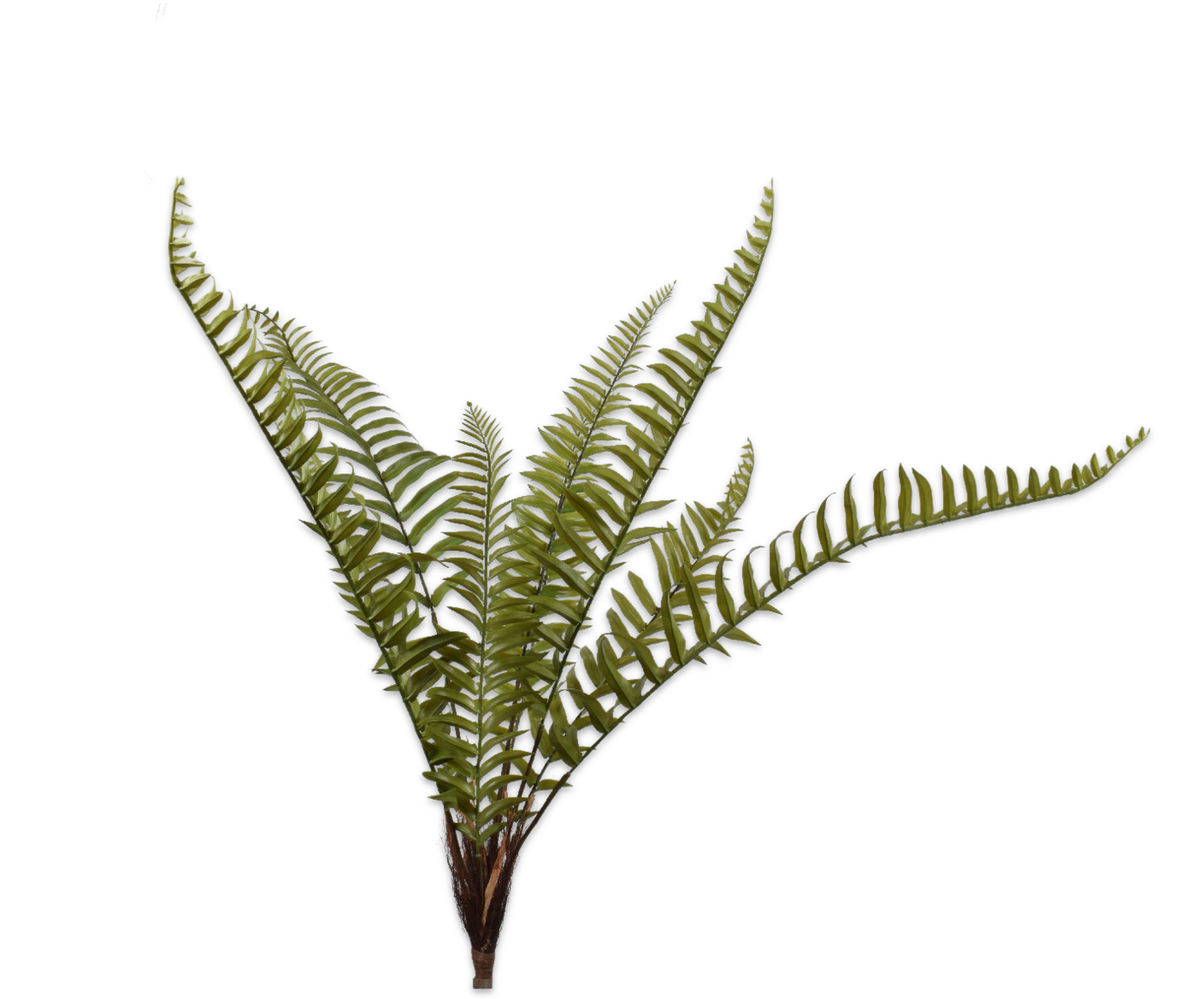 FERN BUSH GREEN 121 cm