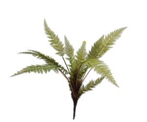 FERN BUSH GREEN 68 cm