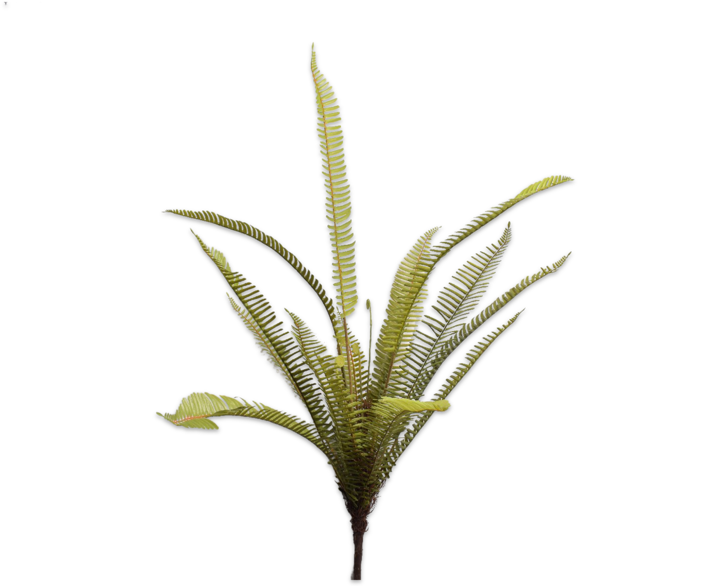 FERN BUSH GREEN 88 cm