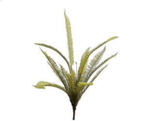 FERN BUSH GREEN 88 cm