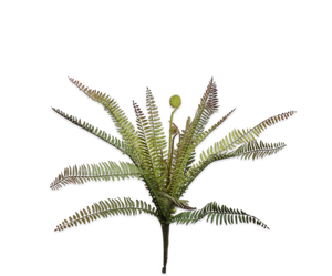 FERN BUSH GREEN 57 cm