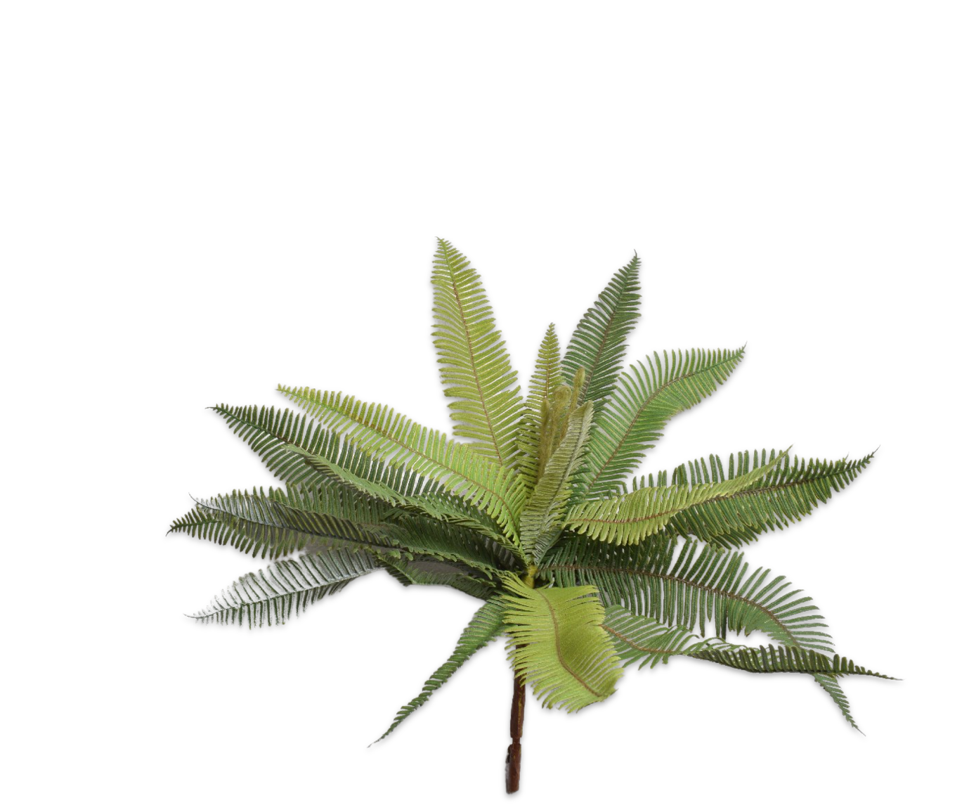 FERN BUSH GREEN 40 cm