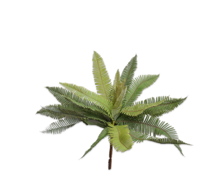 FERN BUSH GREEN 40 cm