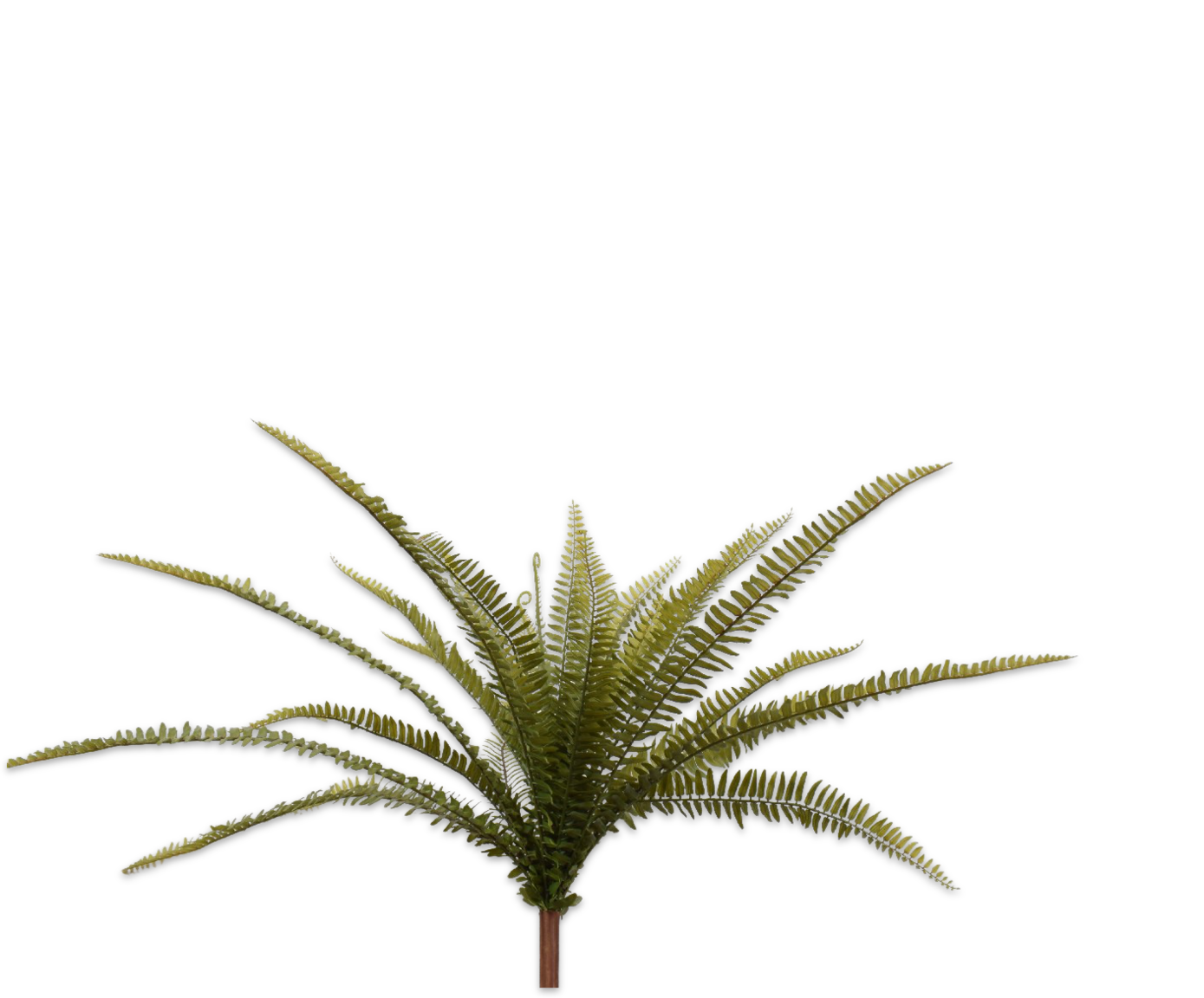 FERN BUSH GREEN 67 cm