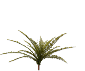 FERN BUSH GREEN 67 cm