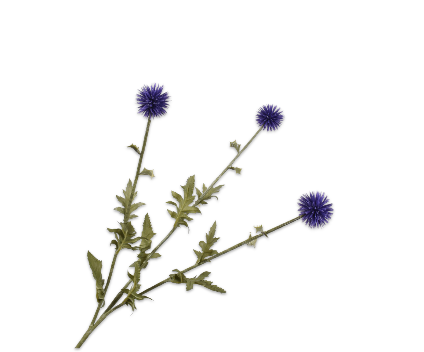 THISTLE SPRAY BLUE 76 cm