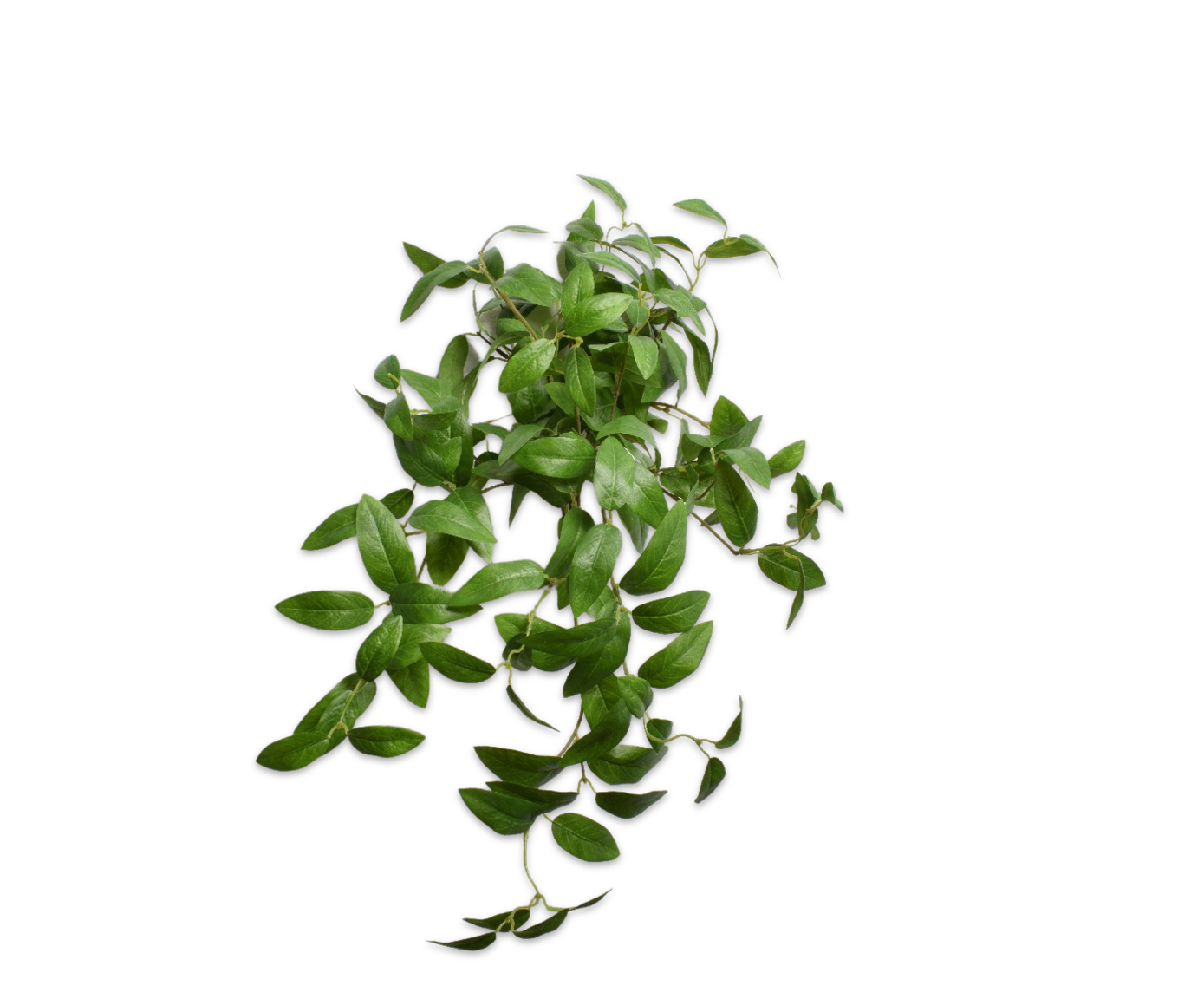 LAUREL HANG GREEN 61 cm