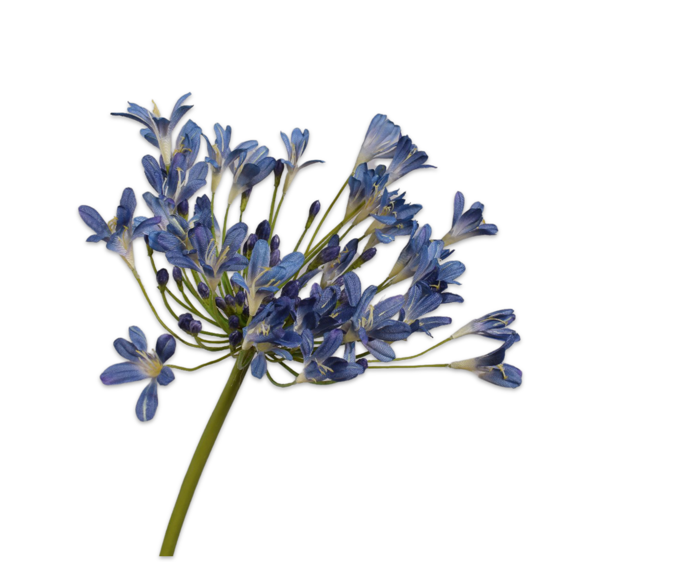 AGAPANTHUS SPRAY BLUE 104 cm