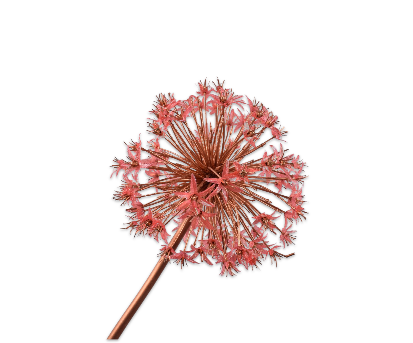 ALLIUM STEM